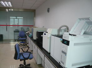 工程化技術服務的核心價值與實踐路徑